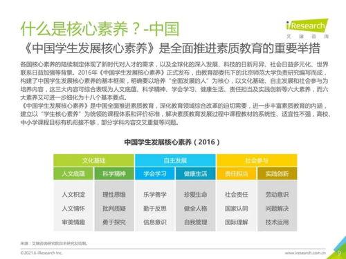 2021年中國素質教育行業(yè)趨勢洞察報告 教育咨詢服務的變革與機遇