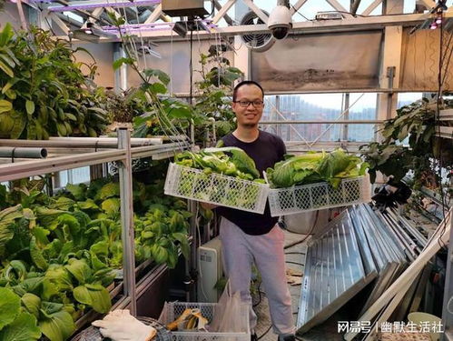 南極冰原上的中國菜園 萬年冰雪中的種族天賦
